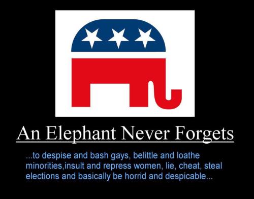 elephant not forget
